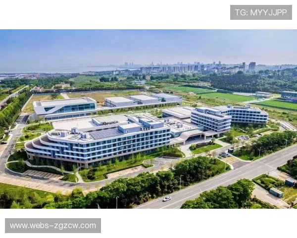 篮球赛事经济升温，城市投资链与体育产业融合加速